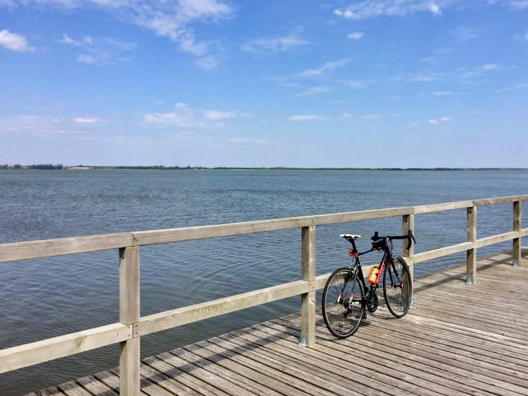 Road Cycling - love this game 3 IMG 3879