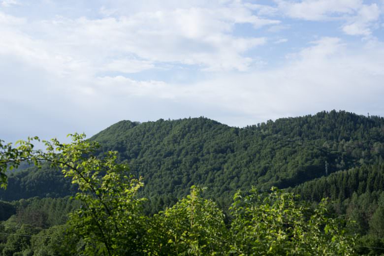 IMG 5850